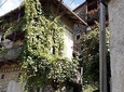 Collio Friuli Tourist Tour and Wine Tasting