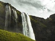 One Day Experience at Nuwara Eliya from Kandy
