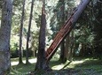 Private day hiking trip to Borjomi National Park with lunch and wine tasting. 