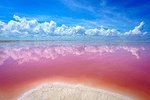 Las Coloradas & Rio Lagartos Tour
