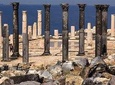 Jordan Horizons Tours: Jerash, Ajloun, & Um Qais Day Tour from Amman