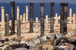 Jordan Horizons Tours: Jerash, Ajloun, & Um Qais Day Tour from Amman