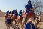 Marrakech camel ride in Palm grove