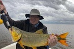 Fishing trips in Buenos Aires