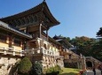 Gyeongju city Private tour (Pick up from Gyeongju & Drop at Busan or vice versa)