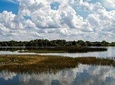 Plant City Scavenger Hunt: The Strawberry Capital