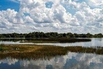 Plant City Scavenger Hunt: The Strawberry Capital