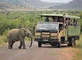5-Day Garden Route Shared Tour from Cape Town including Addo National Park