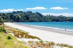 Waiheke Daily Boutique Wine Tour