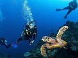 4 Hour: Double Dip Snorkel Trip at The World's Famous Underwater Sculpture Park!