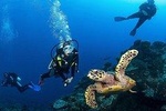 4 Hour: Double Dip Snorkel Trip at The World's Famous Underwater Sculpture Park!