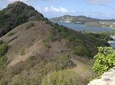 Panoramic View Adventure - A St. Lucian Easy Hike Tour Covid-19 Certified