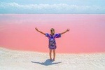 Discover the FABULOUS PINK WATERS at the Caribean (Las Coloradas+Río Lagartos)