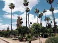 Marrakesh guided tour 