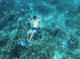Amazing Snorkel at Cozumel Gorgeous Reef!