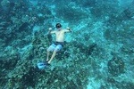 Amazing Snorkel at Cozumel Gorgeous Reef!