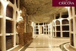1 Day :tour toTRANSNISTRIA, visit Cricova Cellar with degustation