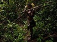 Full Day Tour to Remote Jungle Village