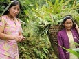 Cultural Tour of Sikkim (7 Days)