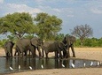 Hwange National Park 3 Days Package
