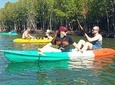 Sea Cave and Mangrove Forest Kayaking Tour From Koh Lanta