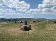 Mini Gobi and the ancient capital Kharkhorin - 4 days