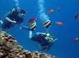 Discover Scuba Diving in Kusadasi From Kusadasi / Selcuk Hotels