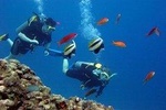 Discover Scuba Diving in Kusadasi From Kusadasi / Selcuk Hotels