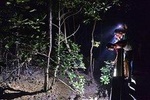Mangrove Night Walk