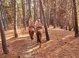 Hiking Cerro El Mauco + Horseriding + 4x4 Jorney Ritoque Sand Dunes PRIVATE TOUR