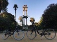 Bike rental day