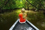 Tung Yee Peng Mangrove Forest Tour By Longtail Boat From Koh Lanta