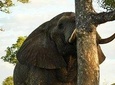 3-Day Kruger National Park Experience
