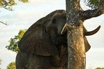 3-Day Kruger National Park Experience