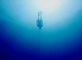 Try Freediving in Pemuteran, Aida 1 with theory, pool and ocean session 1 day