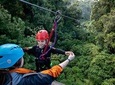 The Original Canopy Experience