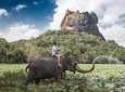 Private Day Tour to Sigiriya From Colombo.