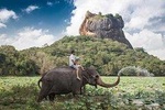 Private Day Tour to Sigiriya From Colombo.