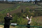Montalcino and Pienza Tuscany Wine&Cheese Fullday from Florence