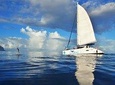 Oceane Cruises Mauritius Private Catamaran Cruise to Benitiers Island