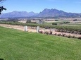 Full Day Wine Tasting in Stellenbosch, Franschoek & Paarl