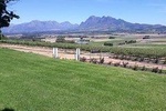 Full Day Wine Tasting in Stellenbosch, Franschoek & Paarl