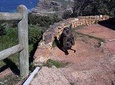 Cape of Good Hope and Penguins - Small Group - Full day