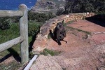 Cape of Good Hope and Penguins - Small Group - Full day