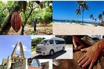 Half-Day Tour: Dominican Discovery Of a Culture