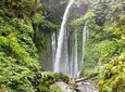 Sendang Gile and Tiu Kelep Waterfall Tour - Private Day Tour