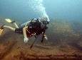 Fun Dives For Certified Divers 
