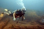 Fun Dives For Certified Divers 