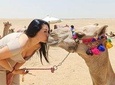 Amazing Full Day tour.pyramids and Egyptian Museum
