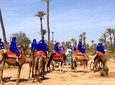 Majorelle Garden and Camel Ride in Marrakesh Palm Grove 
